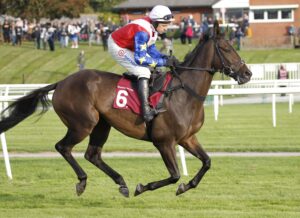 20J0019 Major Fortune