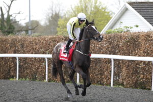 20J1757 Sweet Fantasy