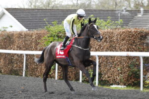 20J1759 Sweet Fantasy