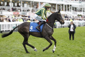 20J2083 Path D’Oroux