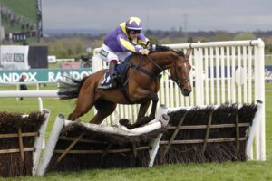 20J2595 Gweenie May Boy