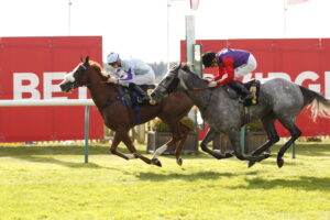 20J3479 Ashariba