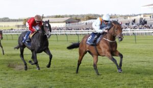 20J3561 The Dragon King
