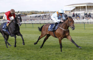 20J3562 The Dragon King