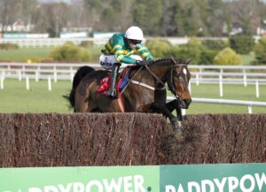 20J3669 Fact To File