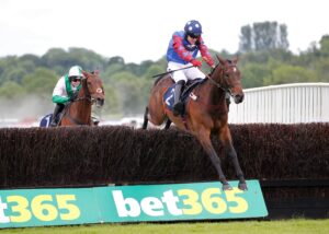 20J3788 Hang In There