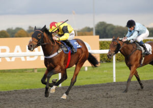 20J4531 Hucklesbrook