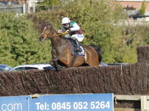 20J6325 Westerninthepark