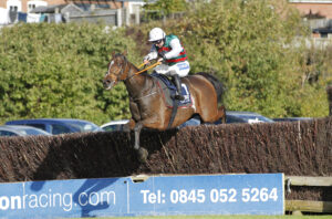 20J6326 Westerninthepark