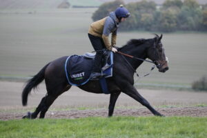 20J6791 Constitution Hill