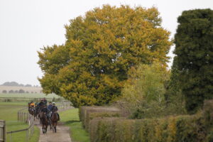 20J7034 Nicky Henderson’s string