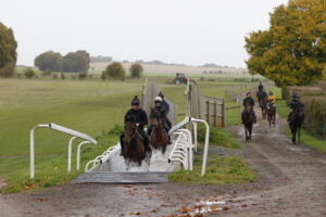 20J7043 Nicky Henderson string