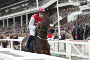 20J7225 Sandor Clegane