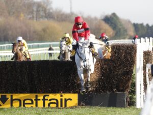 20J8880 Grey Dawning