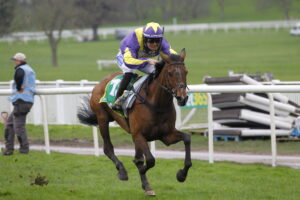 78F0243 Gwennie May Boy