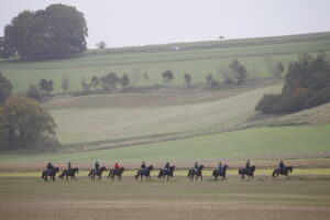78F6590 Nicky Henderson’s string