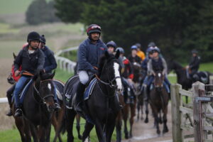 78F6599 Nicky Henderson’s string