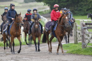 78F6601 Nicky Henderson’s string