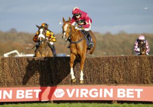 96E0037 Castle Robin