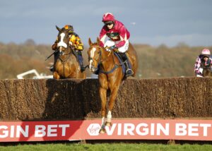 96E0038 Castle Robin