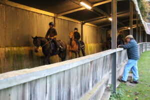 BK1A6671 Nicky Henderson   Constitution Hill