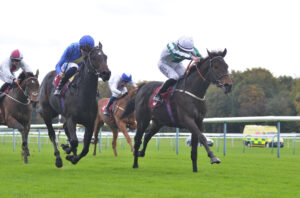 DSC 0004 King Al