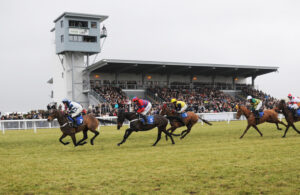 DSC 5302 Sprinter Sacre   Ffos Las