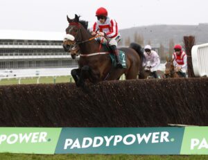 X5B4253 The Real Whacker