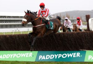 X5B4254 The Real Whacker