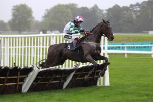 X5B5356 Alfie’s Princess