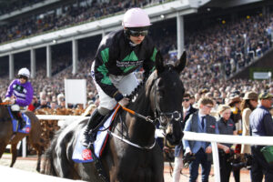 X5B6409 Strong Leader