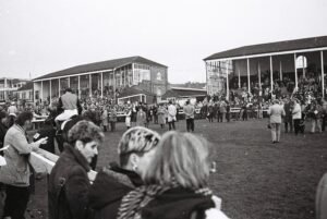 000103 Wolverhampton Paddock