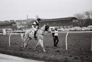 000117 Wolverhampton Jumps Track