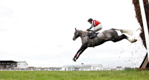 16B2324 Straw Fan Jack