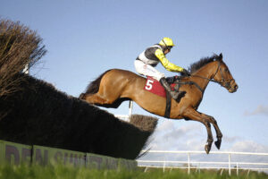 16B3285 Galia Des Liteaux