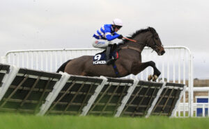 16B5492 Blueking D’Roux