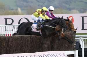 20J4510 Galopin Des Champs