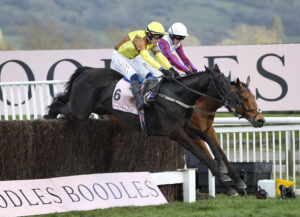 20J4511 Galopin Des Champs