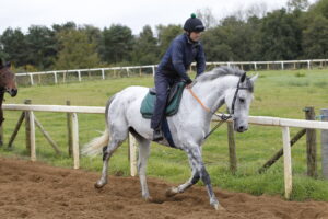 20J5823 Al Dancer