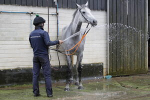 20J5936 Al Dancer