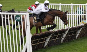 20J8913 Bill Joyce