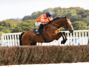 20J9428 Bravemansgame