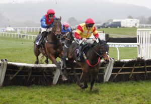 20J9493 Hedera Park