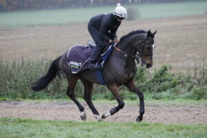20J9608 Jonbon