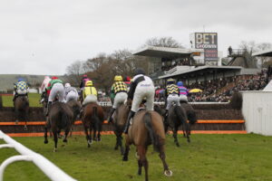 20J9692 Plumpton Last Fence