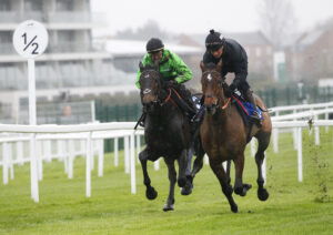 78F1853 Constitution Hill   Sir Gino