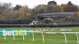 78F8745 Sheep