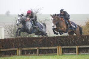 78F9281 Hyland   Shanagh Bob