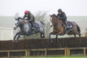 78F9282 Hyland   Shanagh Bob