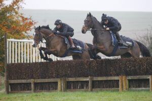 78F9294 Shanagh Bob   Willmount